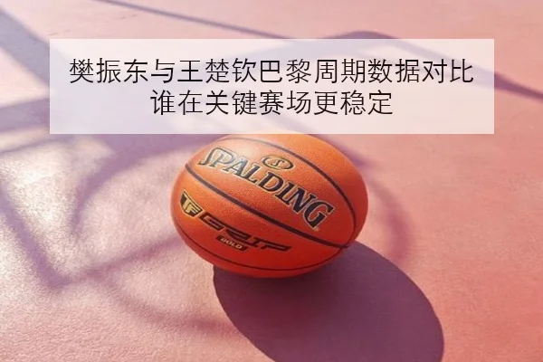 樊振东与王楚钦巴黎周期数据对比 谁在关键赛场更稳定