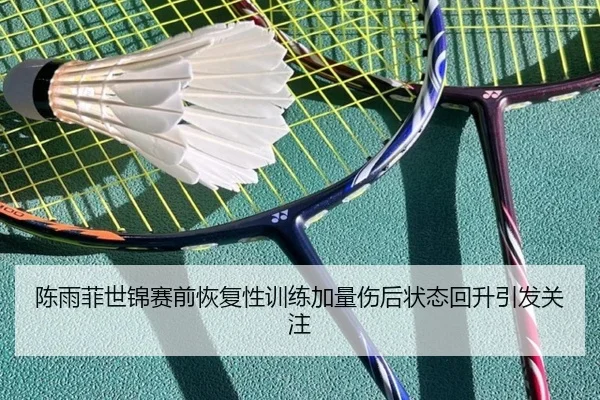 陈雨菲世锦赛前恢复性训练加量伤后状态回升引发关注